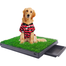 Puppy Potty Traning Box image