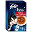 Purina Felix Cat Soup Farm Selection in Jelly - 48gm - 6Pcs image