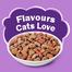 Purina Friskies Surfin Favourites Cat Food 6.5kg image