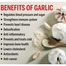 Puritan’s Pride Garlic Oil 5000 mg 250 Softgels image