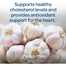 Puritan’s Pride Garlic Oil 5000 mg 250 Softgels image