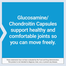 Puritan's Pride Glucosamine Chondroitin Complex For Women and Men 120 Rapid Release Capsules -523042281 image