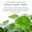 Purito Wonder Releaf Centella Serum 60 ml image