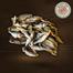 Puti Shutki Fish / Dry Fish Premium Size image