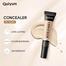 Quiyum Concealer Full Coverage - Ivory 110 image