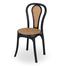 RFL New Classic Chair (Wood Insert) - Black image