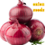 Red Hybrid Onion Seeds 1gm Re-Pack image
