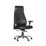 Regal Office Swivel Chair- CSC-261-6-1-66 image