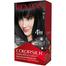 Revlon Colorsilk Black Hair Color 10 (UAE) image