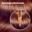 Revlon Colorsilk Brown Black Hair Color 20 image