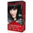 Revlon Hair Color Colorsilk Black 1N image