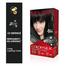 Revlon Hair Color Colorsilk Brown Black 2N image