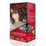 Revlon Hair Color Colorsilk Brown Black 2N image