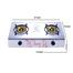 Rfl Double Stainless Steel Auto Ng Stove Grace image