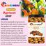 Rongdhonu Premium Apricot-500gm image