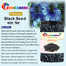 Rongdhonu Premium Black Seed -100gm image