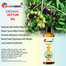 Rongdhonu Premium Organic Joytun Oi(Jaytun Tel) -100ml image