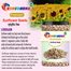 Rongdhonu Premium Sunflower Seed -500gm image