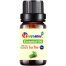 Rongdhonu Tea Tree Essential Oil -10ml image