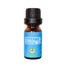 Rongon Herbals Peppermint Essential - 10ml image
