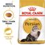 Royal Canin Adult Persian Cat Food - 2kg image