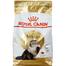 Royal Canin Adult Persian Cat Food - 4 kg image