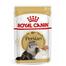 Royal Canin Adult Persian Cat Food - 85 gm image