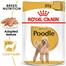 Royal Canin Adult Poodle Dog Food - 85 gm image