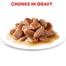 Royal Canin Adult Sterilised Gravy Cat Food - 85 gm image