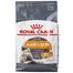 Royal Canin Care Hair And Skin Cat Food - 2 kg image