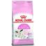 Royal Canin First Age Mother And Baby Cat Food - 400gm image