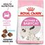 Royal Canin First Age Mother And Baby Cat Food - 2 kg image