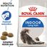 Royal Canin Indoor Long Hair Cat Food - 2 kg image