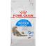 Royal Canin Indoor Long Hair Cat Food - 2 kg image