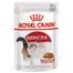 Royal Canin Instinctive In Gravy Cat Food - 85gm image