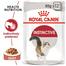 Royal Canin Instinctive In Gravy Cat Food - 85gm image