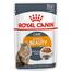 Royal Canin Intense Beauty Care In Gravy Adult Wet Cat Food image
