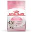 Royal Canin Kitten Cat Food - 2 kg image