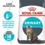 Royal Canin Urinary Care Cat Food - 2 kg image