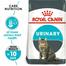 Royal Canin Urinary Care Cat Food - 400 gm image