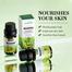 Sadoer Rosemary Multipurpose Plant Essential Oil Moisturizing Skin Rejuvenation Lock Water-10ml image