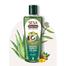 SESA Daily Care Herbal Oil 100ml image