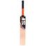 SF Cannon Cricket Bat Kashmir Willow image