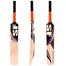 SF Cannon Cricket Bat Kashmir Willow image