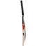 SF Vellum Hide Kashmir Willow Cricket Bat image