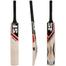 SF Vellum Hide Kashmir Willow Cricket Bat image