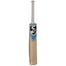 SG Nexus Plus Kashmir Willow Cricket Bat image