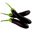 SP-2 All Season Seeds Package 6 Items Intact Pack - 0.1gm image