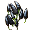SP-4 All Season Seeds Package 6 Items Intact Pack - 0.1gm image