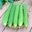 SP-6 All Season Seeds Package 6 Items Intact Pack - 0.1gm image